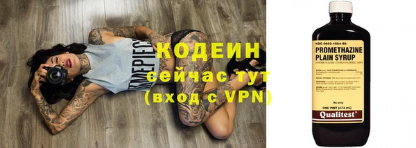 твердый Новодвинск