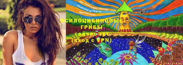 прущий лед Белокуриха
