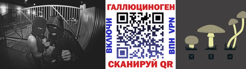 Псилоцибиновые грибы Psilocybe  ссылка на мегу   Туймазы  наркота 